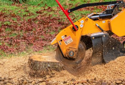 Stump Grinding Operations