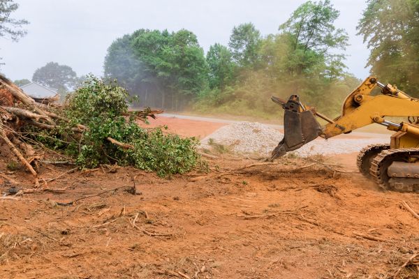 Ground Clearing in Canton