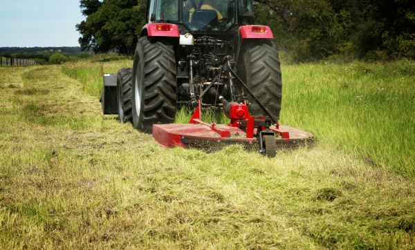Brush Clearing Service in Canton