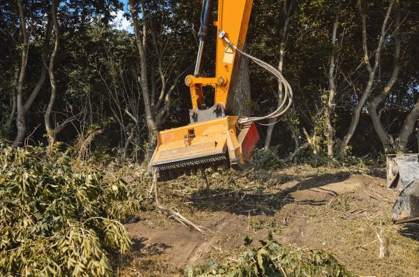 Brush Removal Service in Canton