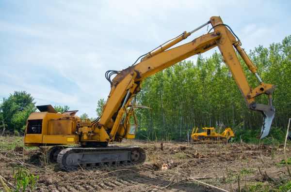 Farm Clearing in Canton