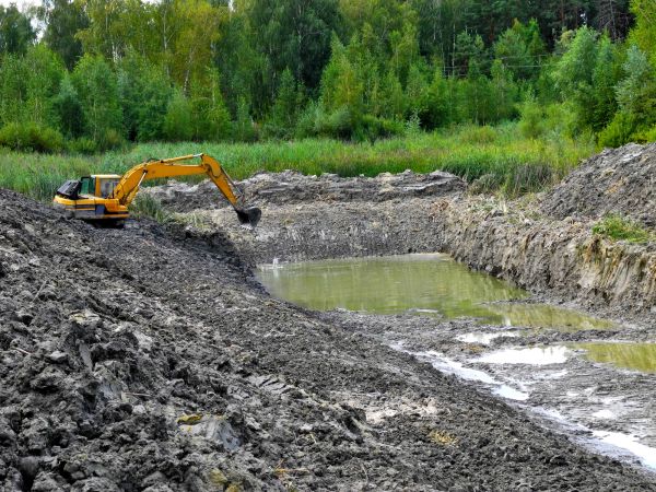 Lake Lot Clearing in Canton