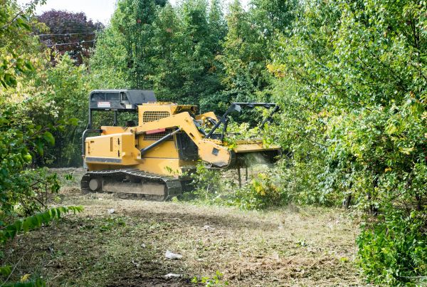 Pathway Clearing in Canton