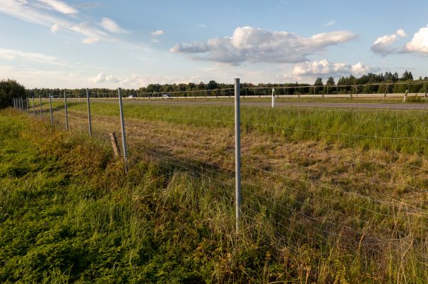 Property Line Clearing in Canton