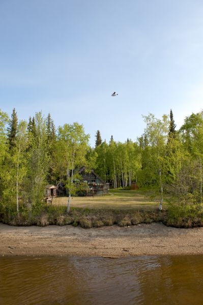 Waterfront Land Clearing in Canton