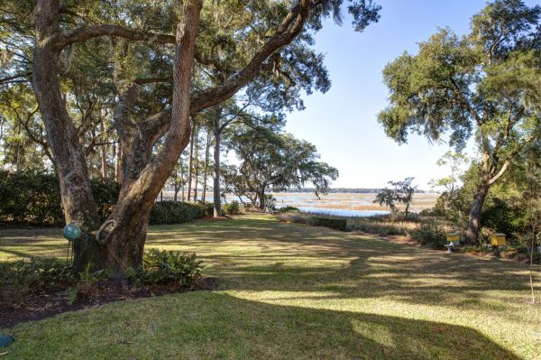 Lakefront Property Clearing in Canton