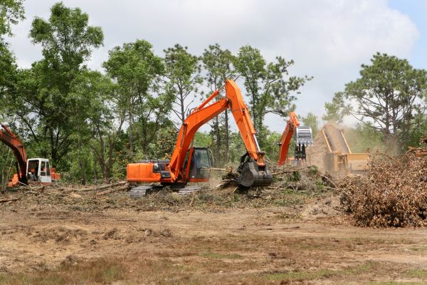 Commercial Lot Clearing in Canton
