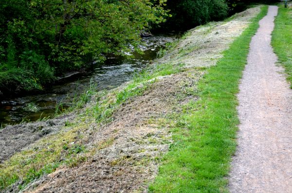 Trail Cutting in Canton